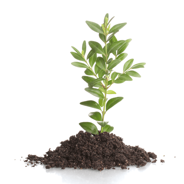 Eco-friendly construction additives
